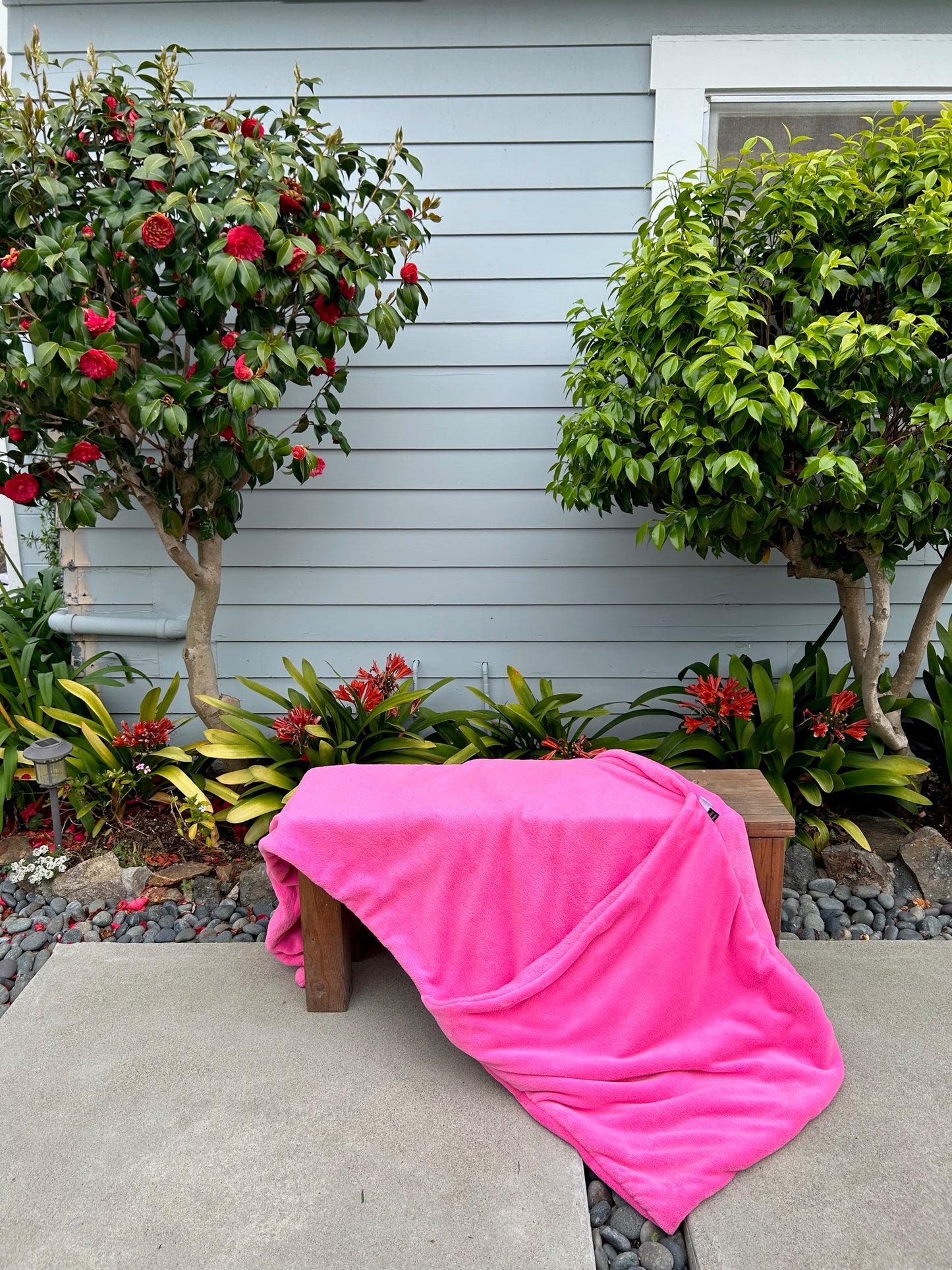 Flamingo Pink